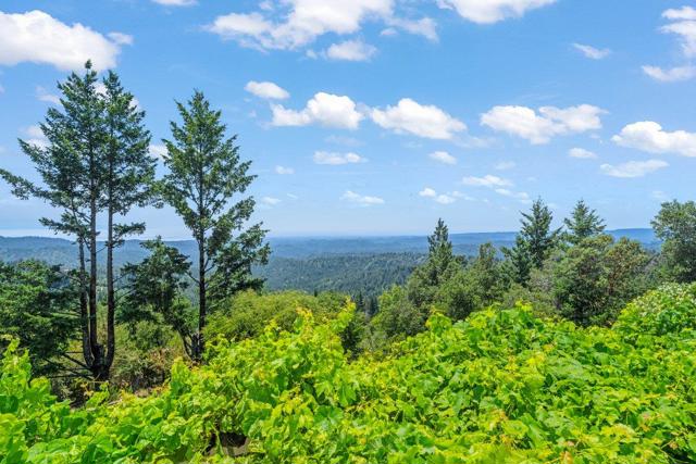 25220 Quail Ridge Road, Los Gatos CA: https://media.crmls.org/mediaz/e7c854d1-581b-4f74-9a4a-2c8120823934.jpg