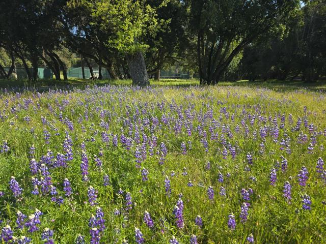 16 SLEEPY HOLLOW DRIVE, Carmel Valley CA: https://media.crmls.org/mediaz/e7dc7f28-03a2-4bea-8fc9-47187cbba1e7.jpg