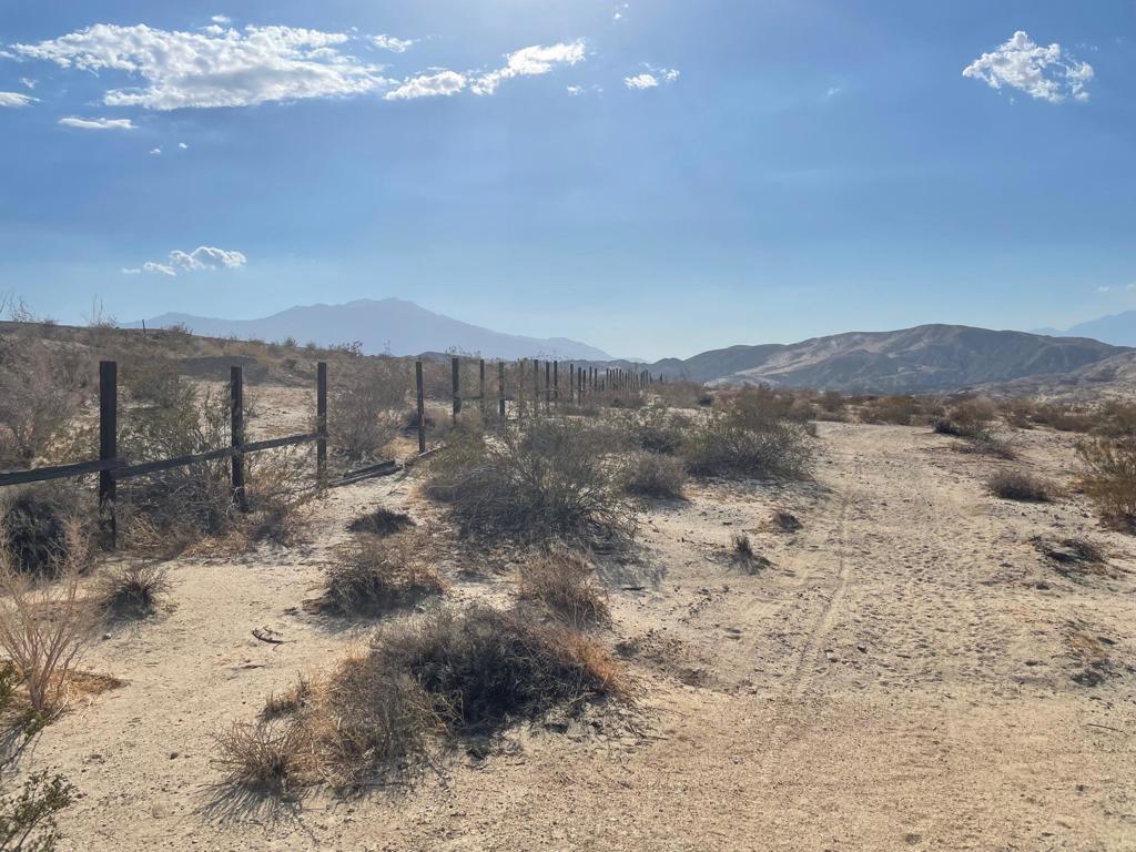 MLS #219138408DA image #7