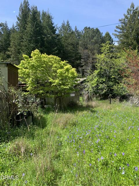 Detail Gallery Image 17 of 41 For 23501 Branscomb Rd, Westport,  CA 95488 - – Beds | – Baths