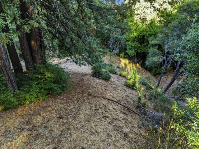 12 Montecito Road, Woodside CA: https://media.crmls.org/mediaz/e7fda5e3-d2a1-4a7d-8d96-c66f18534bc3.jpg