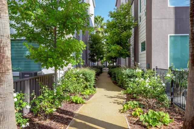 426 Ellicott Loop, San Jose CA: https://media.crmls.org/mediaz/e80b3e13-934d-4888-a576-6edc79143a93.jpg