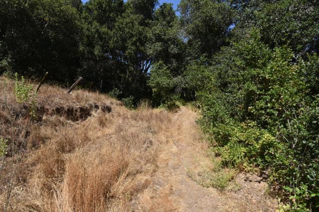 0 Alexander Lane, San Juan Bautista CA: https://media.crmls.org/mediaz/e80c3d03-8032-4ad5-b9c8-33e536f57583.jpg
