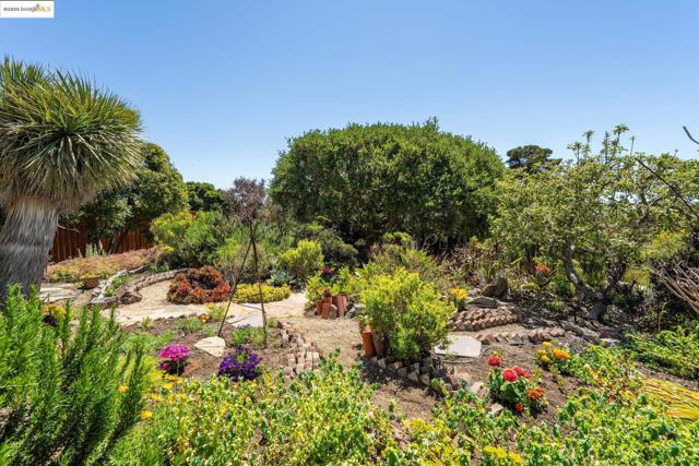 917 Avis Dr, El Cerrito CA: https://media.crmls.org/mediaz/e81dbe65-4fec-441b-a52d-5f0cf5770712.jpg