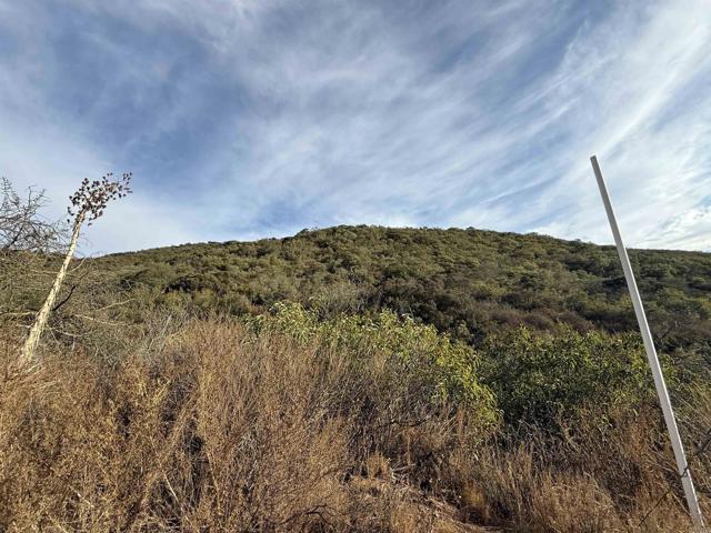Detail Gallery Image 25 of 28 For Rainbow Glen Rd, Fallbrook,  CA 92028 - – Beds | – Baths
