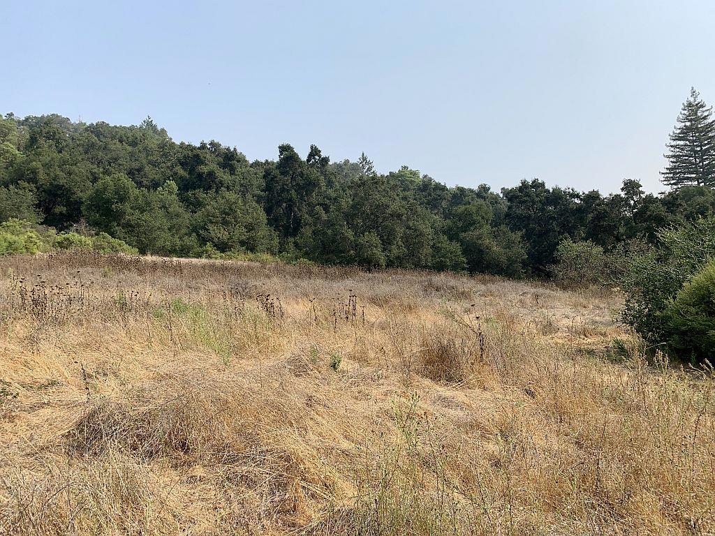 MLS #ML81810757 image #65