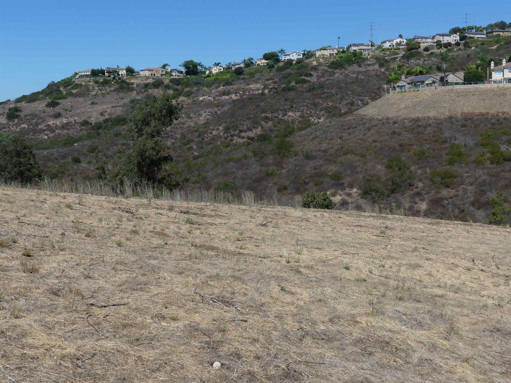 Paradise Glen Way San Marcos - photo 10