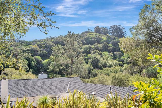 1021 Merner Road, Hillsborough CA: https://media.crmls.org/mediaz/e82ca5ec-76fa-4887-aa1e-02211e8f8ef0.jpg