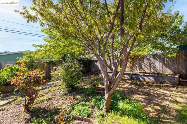 View of fenced backyard