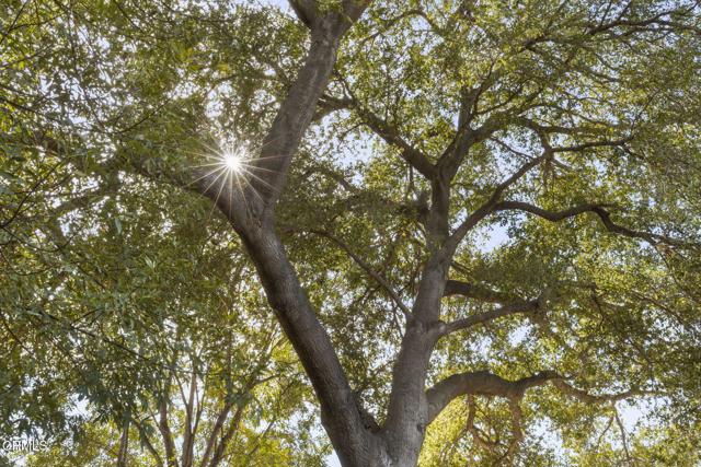 Detail Gallery Image 35 of 44 For 937 El Camino Corto, Ojai,  CA 93023 - 1 Beds | 1 Baths