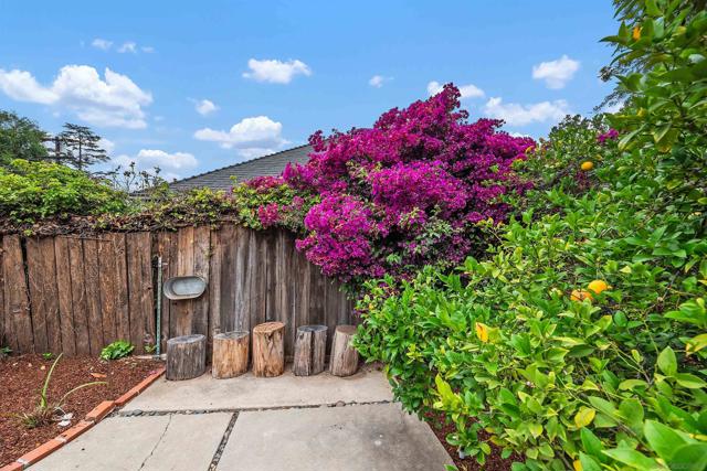 433 E 6Th Ave, Escondido CA: https://media.crmls.org/mediaz/e83fe43d-4671-429c-b683-d85ec6243c84.jpg