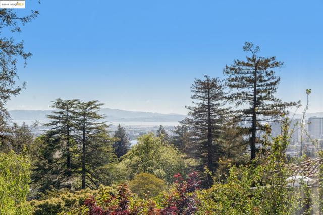 356 Mountain Avenue, Piedmont CA: https://media.crmls.org/mediaz/e850cca3-40bd-421f-8cc1-eef150422a0a.jpg