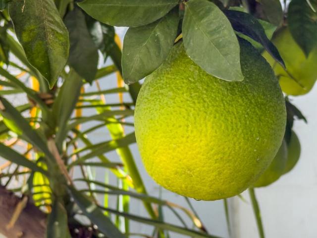 75377 Montecito Drive, Indian Wells CA: https://media.crmls.org/mediaz/e85167c3-c2a8-41ff-9e77-de22e5124e7b.jpg