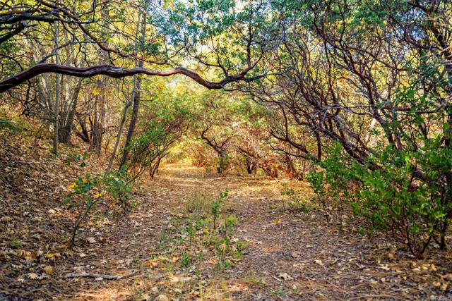 Detail Gallery Image 49 of 54 For 2810 Three Peaks Ln, Julian,  CA 92036 - 3 Beds | 2/1 Baths