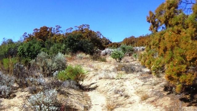 Detail Gallery Image 14 of 41 For 37245 Old Forest Rd, Anza,  CA 92539 - – Beds | – Baths