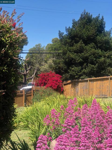 1502 Hillcrest Road, San Pablo CA: https://media.crmls.org/mediaz/e86b3545-1ef7-4b16-84c8-aa944f08f852.jpg