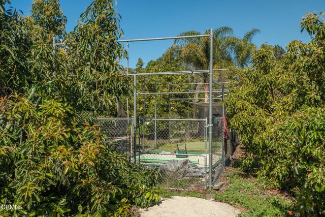 Detail Gallery Image 38 of 62 For 20296 S Mountain Rd, Santa Paula,  CA 93060 - 4 Beds | 3 Baths