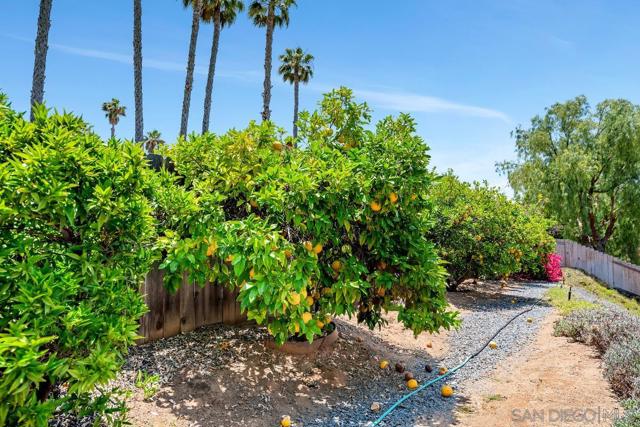 12847 Abra Pl, San Diego CA: https://media.crmls.org/mediaz/e8854f39-ef21-4149-b8aa-6dd3d6b0230e.jpg