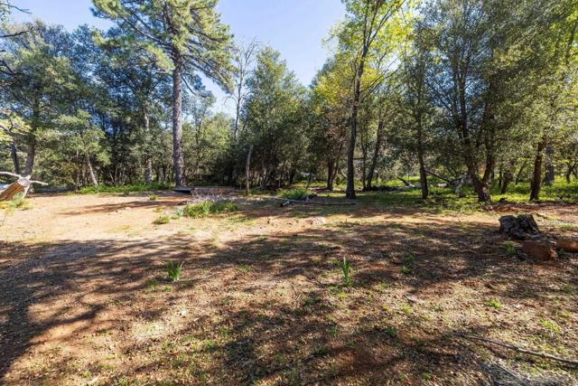 3131 Pera Alta Dr, Julian CA: https://media.crmls.org/mediaz/e88955e5-6c2e-482d-b4f5-5607a8d6507d.jpg