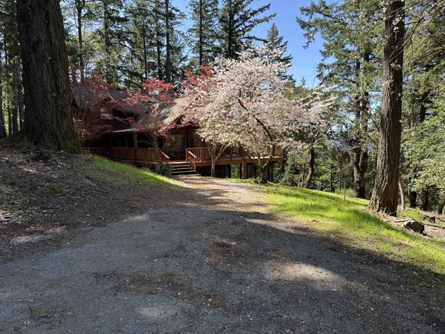 12338 First Fork Road, Los Gatos CA: https://media.crmls.org/mediaz/e88b26de-b4ae-43d1-b94d-fbb4409db049.jpg
