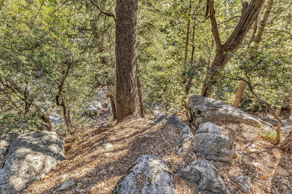 https://media.crmls.org/mediaz/e8909e92-a062-44d4-9e73-d15f3cde5140.jpg?preset=X-Large