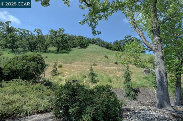 1459 Rockledge Ln, Walnut Creek CA: https://media.crmls.org/mediaz/e8ac3e61-93d8-4ebe-bdbf-be54c4215255.jpg