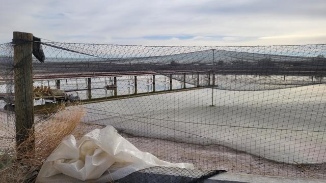 96400 70th Avenue, Thermal CA: https://media.crmls.org/mediaz/e8b0499c-1c5d-4a32-8a69-44456b30f899.jpg