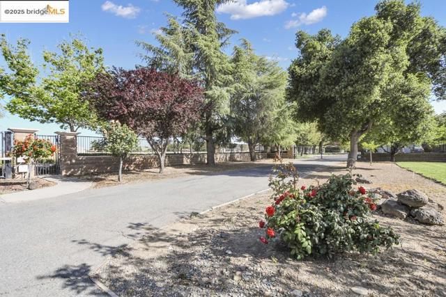 3215 Ohara Ave, Brentwood CA: https://media.crmls.org/mediaz/e8b1c380-47bd-404d-a284-e941e1c10cc2.jpg
