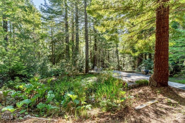 Detail Gallery Image 41 of 42 For 33100 Frog Pond Rd, Little River_1,  CA 95456 - 3 Beds | 3 Baths