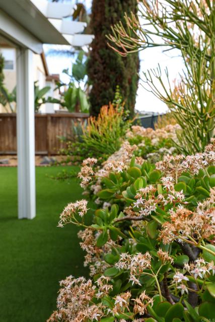 Detail Gallery Image 70 of 74 For 1056 Strawberry Valley, Chula Vista,  CA 91913 - 4 Beds | 2/1 Baths