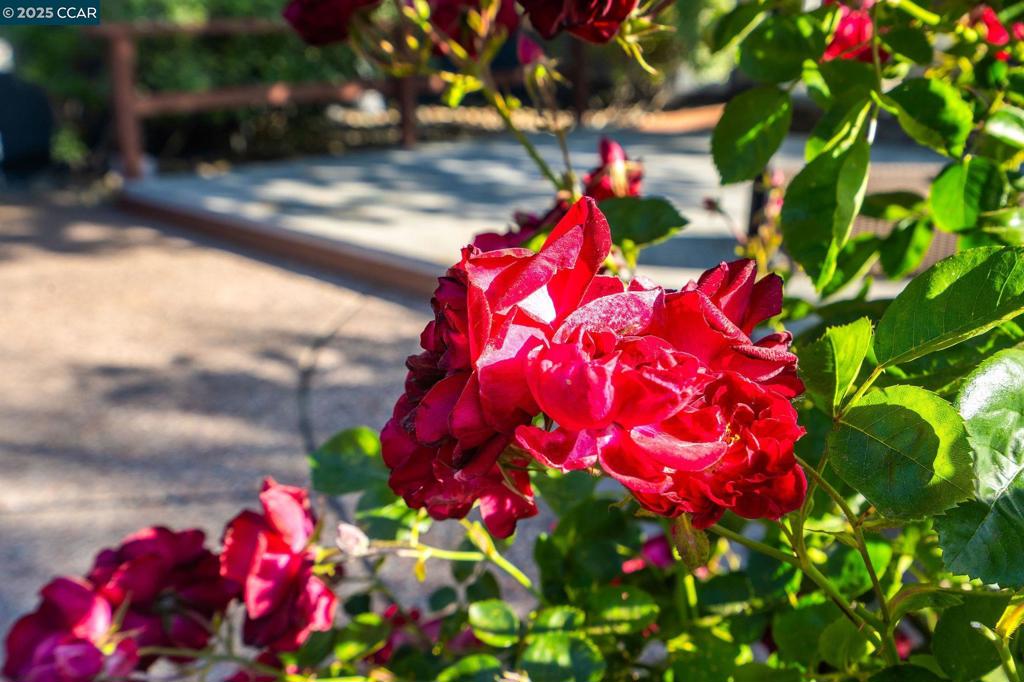 https://media.crmls.org/mediaz/e8c06c90-c2e2-46af-a42d-7634c5fc7e29.jpg?preset=X-Large