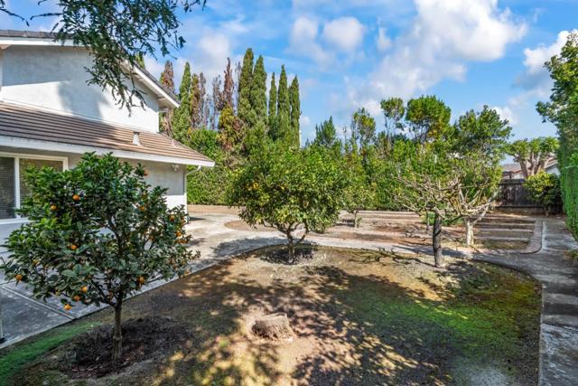 Image 43 of 48 For 32735 Ripon Court