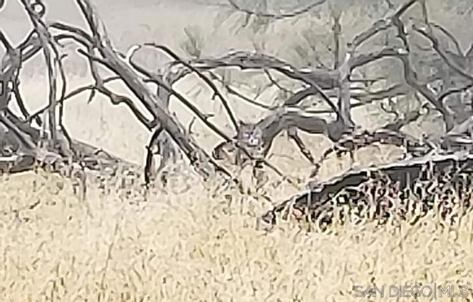 https://media.crmls.org/mediaz/e8d07d95-724c-416e-9d69-1f684dea3363.jpg?preset=X-Large