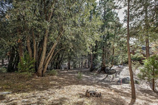 55283 Pine Crest, Idyllwild CA: https://media.crmls.org/mediaz/e8d61334-a7a2-4fa9-b01e-4ad3606b28c4.jpg