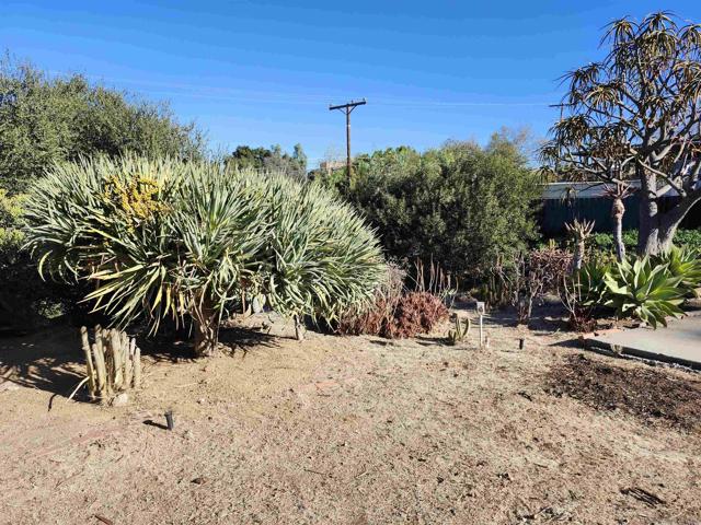 238 Lilac Dr., El Cajon CA: https://media.crmls.org/mediaz/e8e141e8-74af-4b37-95fd-08aac62a2c09.jpg