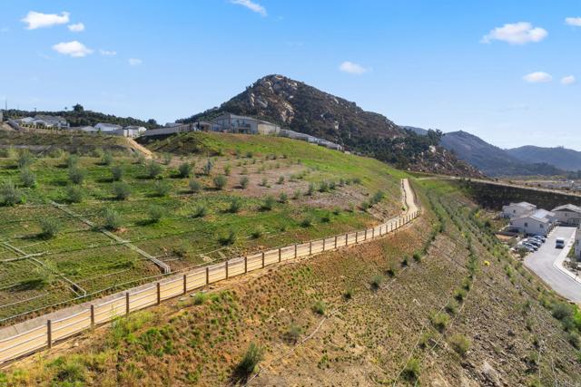 Detail Gallery Image 60 of 65 For 240 Foliage Pl, Fallbrook,  CA 92028 - 4 Beds | 2/1 Baths