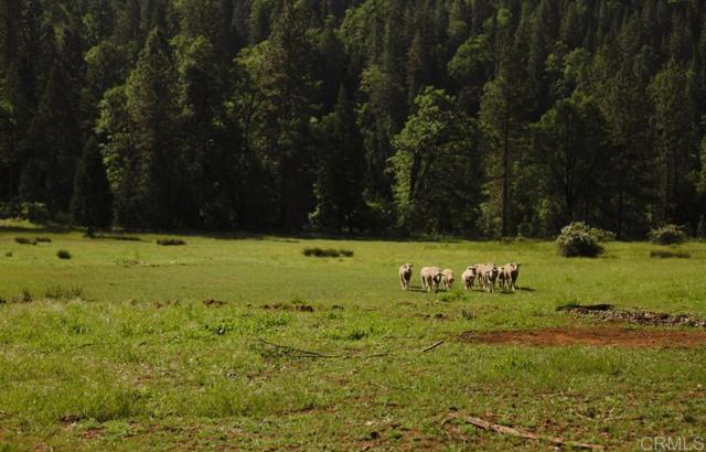 Detail Gallery Image 7 of 23 For 29276 Bullskin Ridge Rd, Oak Run,  CA 96069 - 3 Beds | 2 Baths