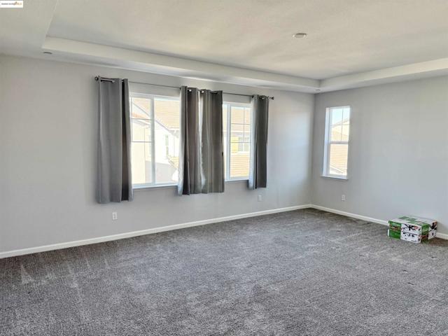 Spare room featuring healthy amount of natural light, dark carpet, and a raised ceiling