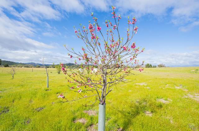 50255 Adobe Place, Bradley CA: https://media.crmls.org/mediaz/e8fd8864-2743-483b-85ea-0941f9f2afb8.jpg
