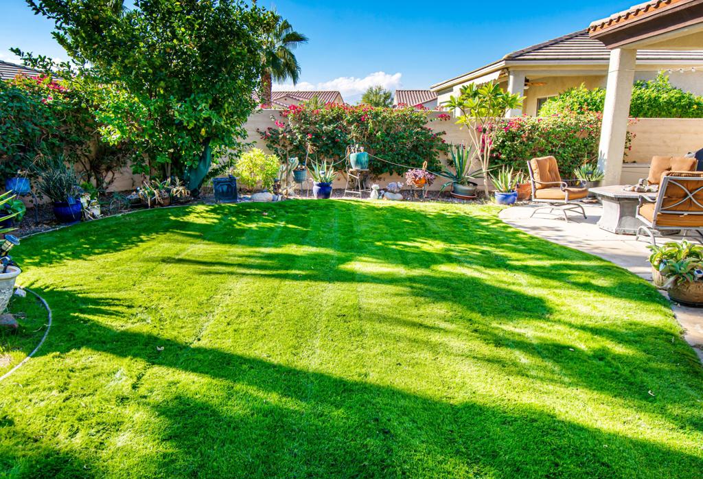 MLS #219135119DA image #12