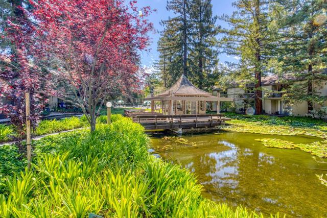 505 Cypress Point Drive, Mountain View CA: https://media.crmls.org/mediaz/e904569a-8116-45d5-bd78-3ac68ca25bf5.jpg