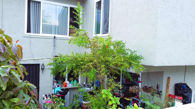 Detail Gallery Image 23 of 33 For 1373 Evergreen Dr, Cardiff By The Sea,  CA 92007 - 3 Beds | 1/1 Baths