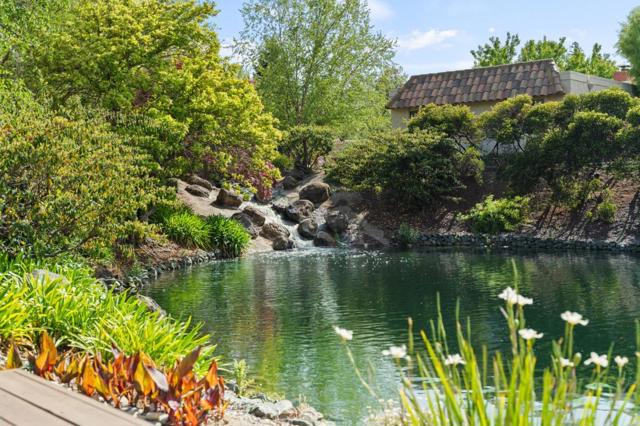 283 Casitas Bulevar, Los Gatos CA: https://media.crmls.org/mediaz/e91b8c0e-84d1-47c6-aeca-0c0c0c7df700.jpg