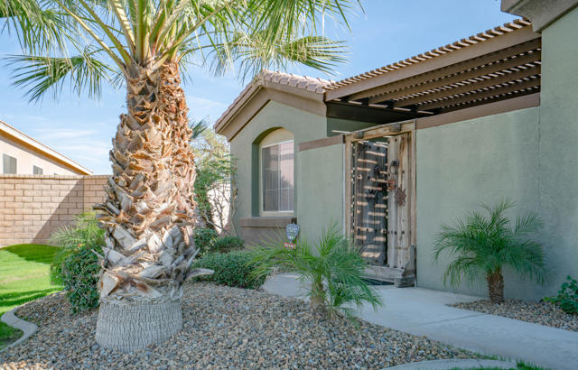 79925 Corte Exterior-53