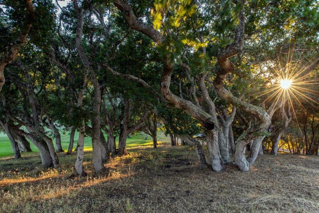 25520 Via Malpaso (Lot 92), Carmel CA: https://media.crmls.org/mediaz/e9272c3d-e762-45ad-8b35-2b6af1d74c9e.jpg