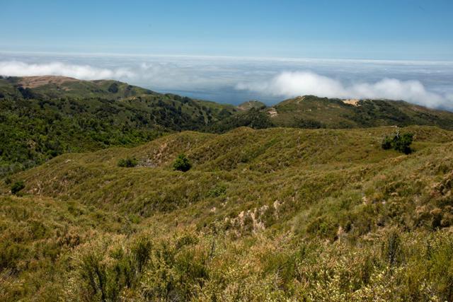 38805 Palo Colorado Road, Carmel CA: https://media.crmls.org/mediaz/e93107bd-6568-46be-a10b-cfa345ddccd6.jpg