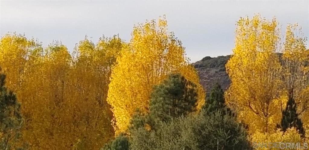 https://media.crmls.org/mediaz/e9346013-f186-4b14-9b15-203bccebe914.jpg?preset=X-Large