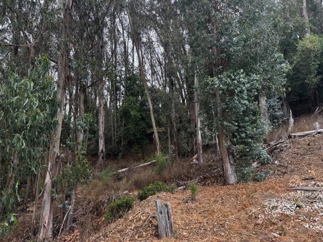 6595 Thornhill Drive, Oakland CA: https://media.crmls.org/mediaz/e936d798-2df7-4fb7-8859-34bd77092121.jpg