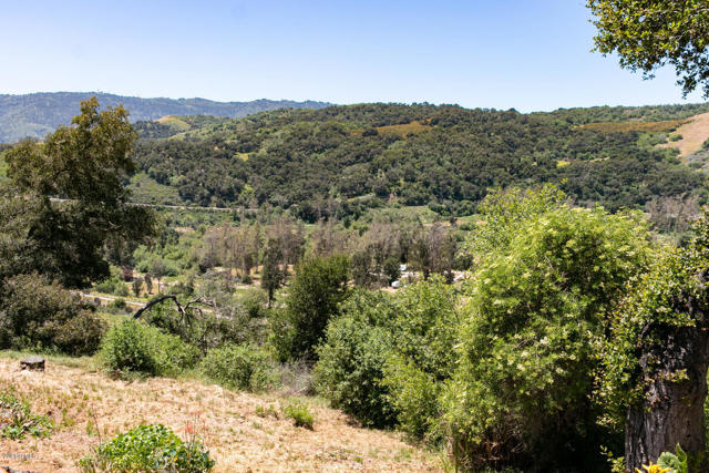 250 Verde Oak Drive, Oak View CA: https://media.crmls.org/mediaz/e93dda6e-4c56-49b3-b714-0a7d080d3ba9.jpg