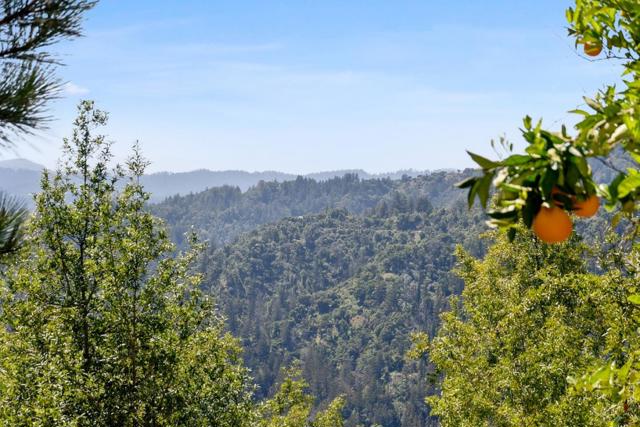 1315 Sunset Ridge Road, Los Gatos CA: https://media.crmls.org/mediaz/e93f8bfd-8e17-4ac8-a6d5-8f31149de4bc.jpg